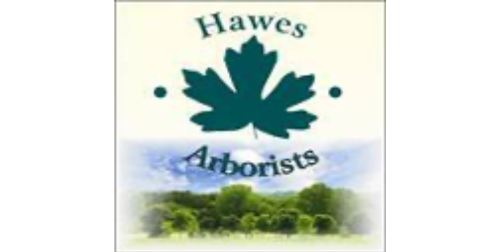 hawesar borists